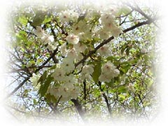 ���F���T�N��