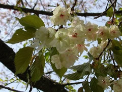 ���F���T�N��