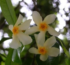 �e�C�J�J�Y��