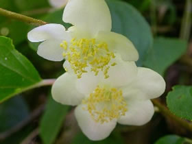 �}�^�^�r�Y��