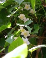 �}�^�^�r�Y��