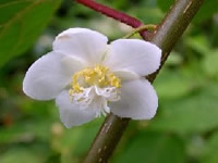 �}�^�^�r����