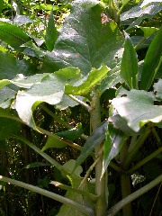 ��؂�E�o����