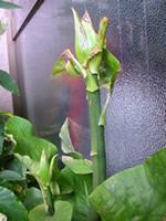 �E�o����