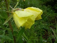 �I�I�}�c���C�O�T