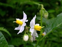 �����i�X�r