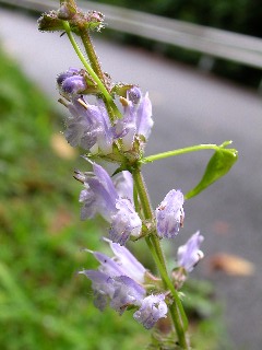 �A�L�m�^�����\�E�A�L�m�^�����\�E�A�L�m�^�����\�E