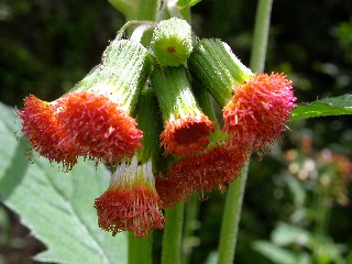 �x�j�o�i�{���M�N