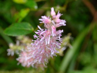 �`�_�P�T�V