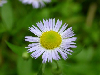 �q���W�I��