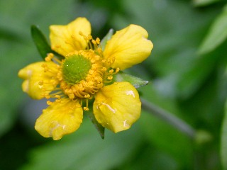 �L���|�E�Q