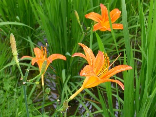 �m�J���]�E