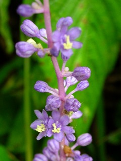 ���u����