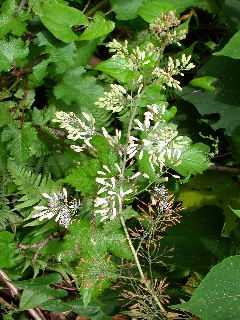 �^�P�j�O�T