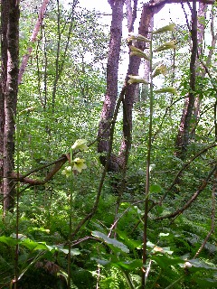 �E�o����