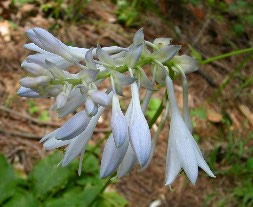 �I�I�o�M�{�E�V