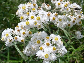 �z�\�o���}�n�n�R