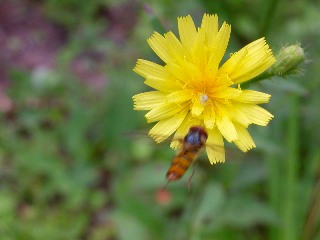 �R�E�]���i