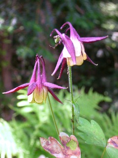 ���}�I�_�}�L